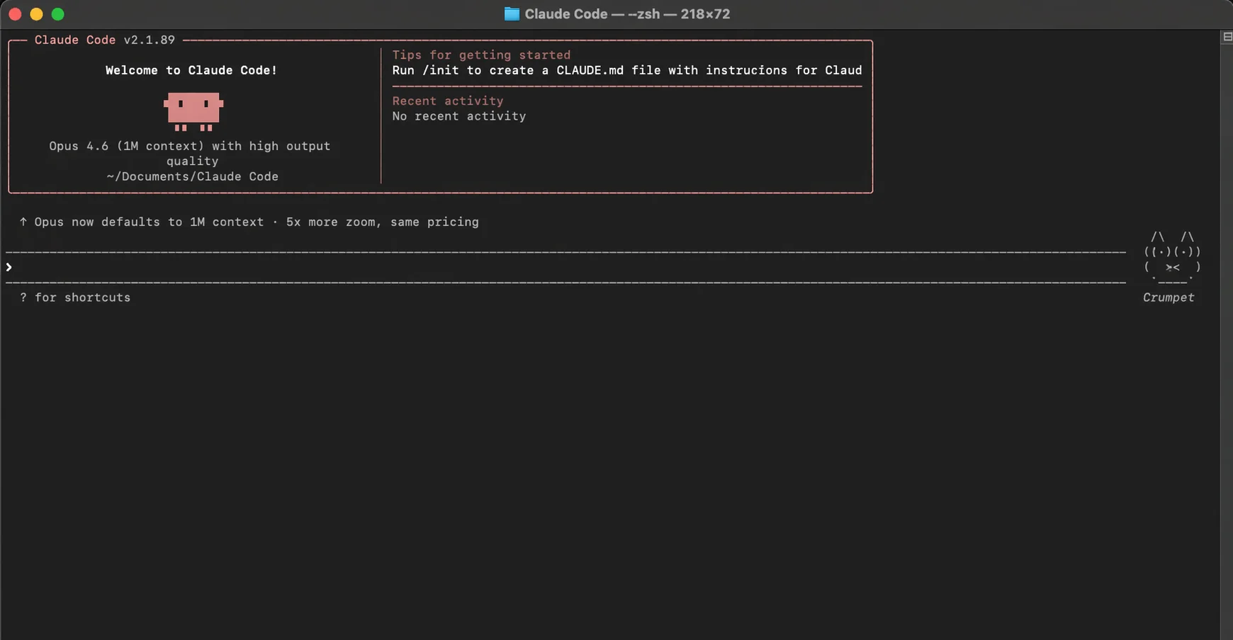 Claude Code running in the terminal — welcome screen