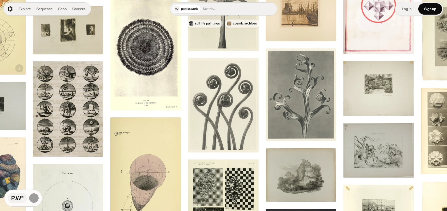 Public Work search results for botanical specimen, showing a grid of archival imagery that looks very different from typical stock photography