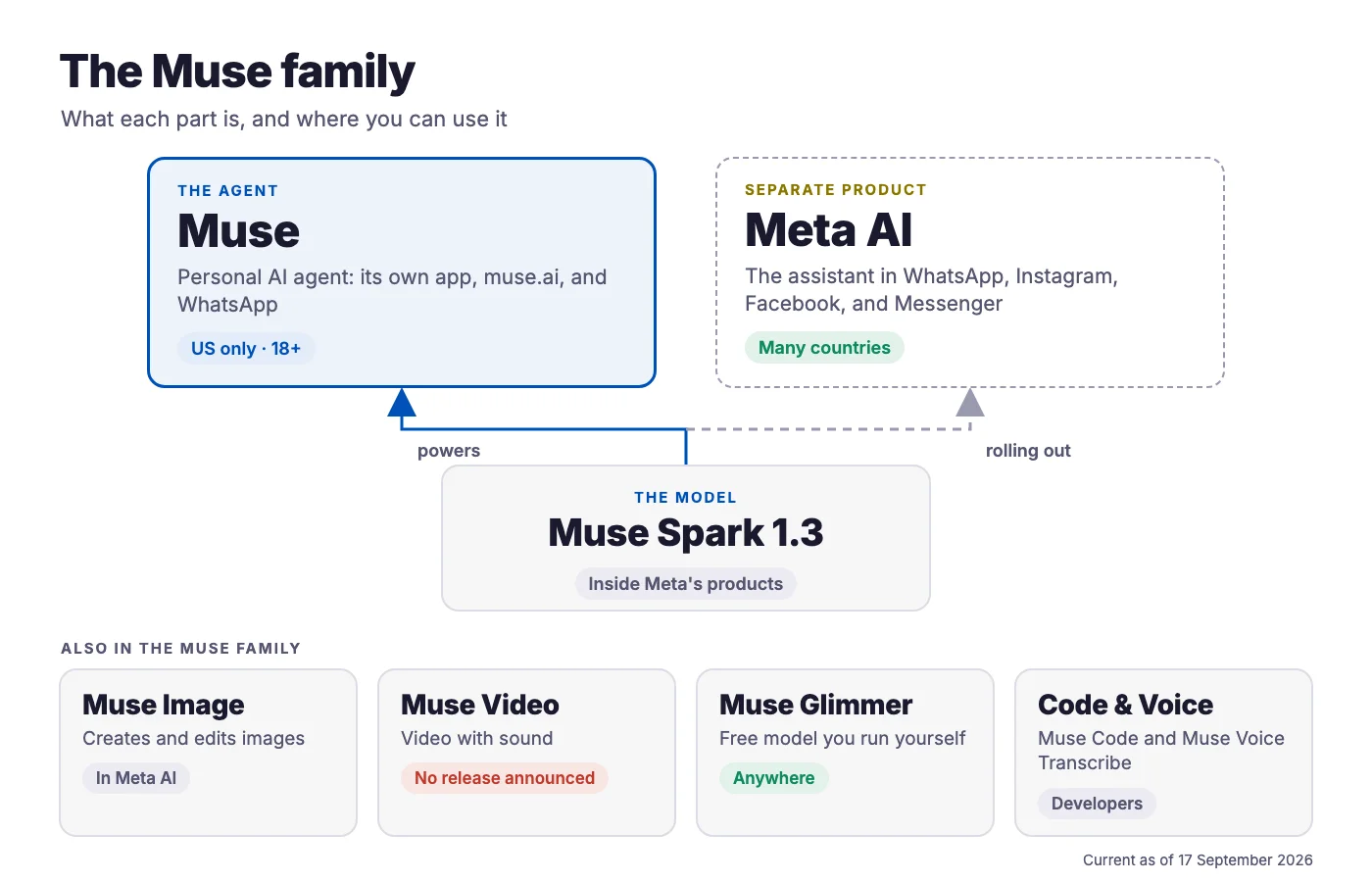 Diagram of the Muse family: the Muse agent, available in the US only for users 18 and over, and Meta AI, a separate product available in many countries, both connected to the Muse Spark 1.3 model, with Muse Image, Muse Video, Muse Glimmer, and Muse Code and Voice Transcribe listed underneath with where each one works.